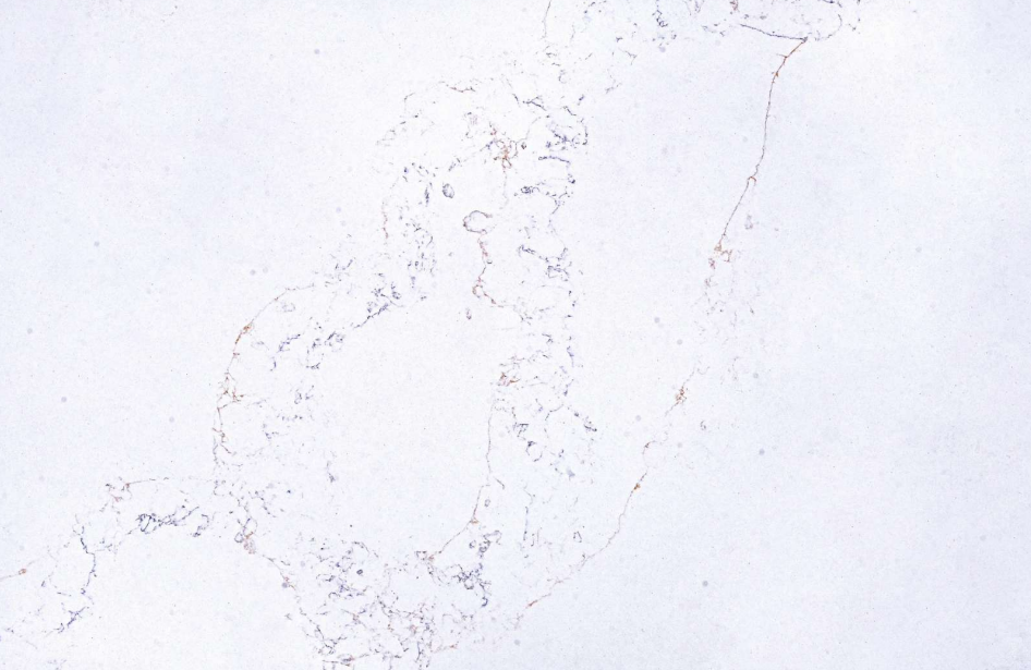 Diamond Veil statement marble quartz detail, Marmo Finish